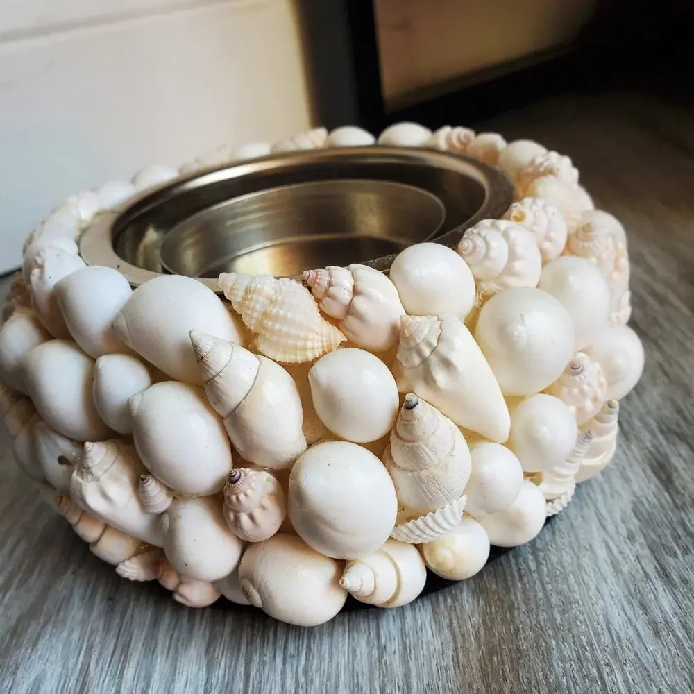 White Seashell Candle Holder